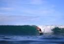   MLP SURF